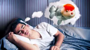 Nằm mơ thấy cá là điềm gì?