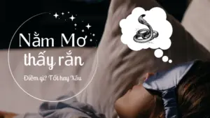 Mơ thấy rắn có thể là điềm xấu hoặc điềm tốt